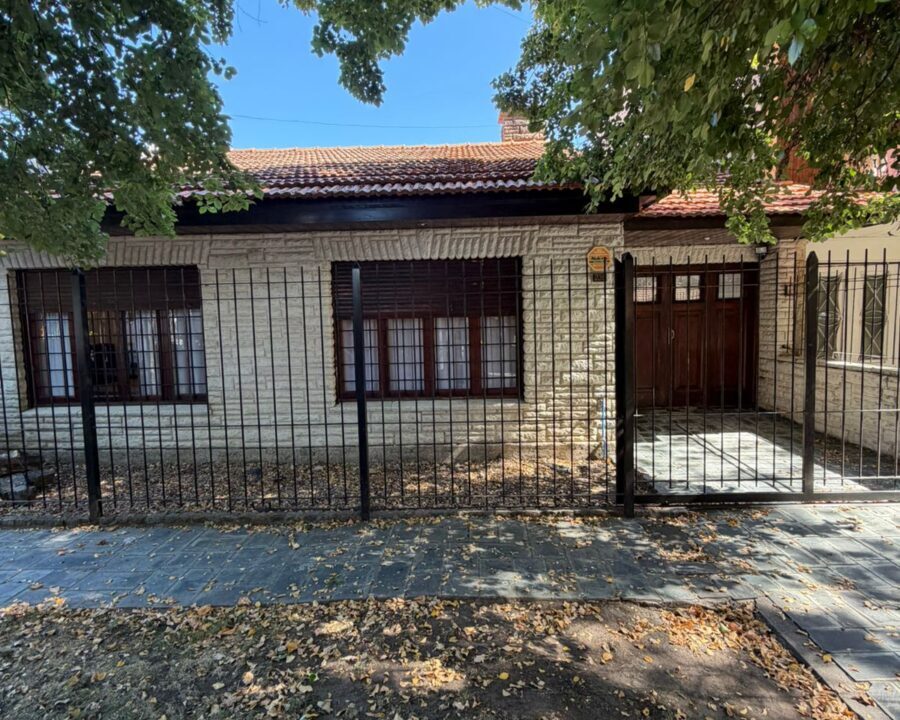 WhatsApp Image 2026-03-13 at 12.34.07 (4)